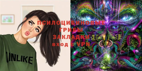 соль ск Аркадак