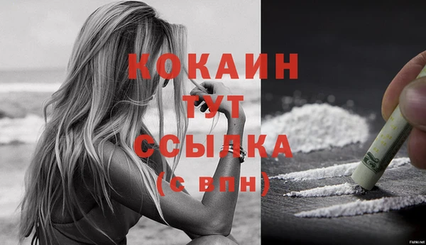 молекула духа Наволоки