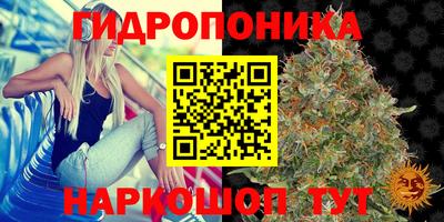 бутират Гусь-Хрустальный