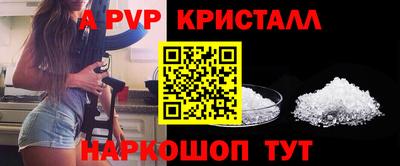 СК Гусев