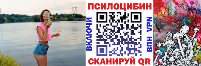 как найти   Коломна  Псилоцибиновые грибы мицелий 